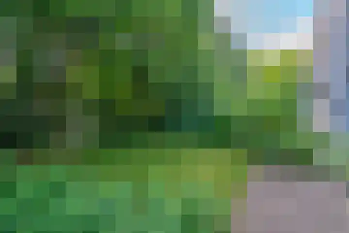 Kastanjelaan 33 Waalre thumbnail 34