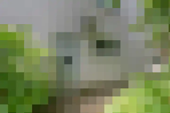 Kastanjelaan 33 Waalre thumbnail 35