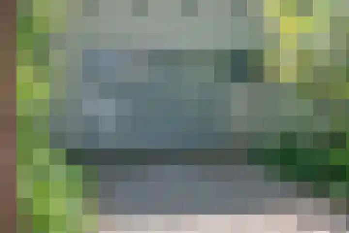 Kastanjelaan 33 Waalre thumbnail 36