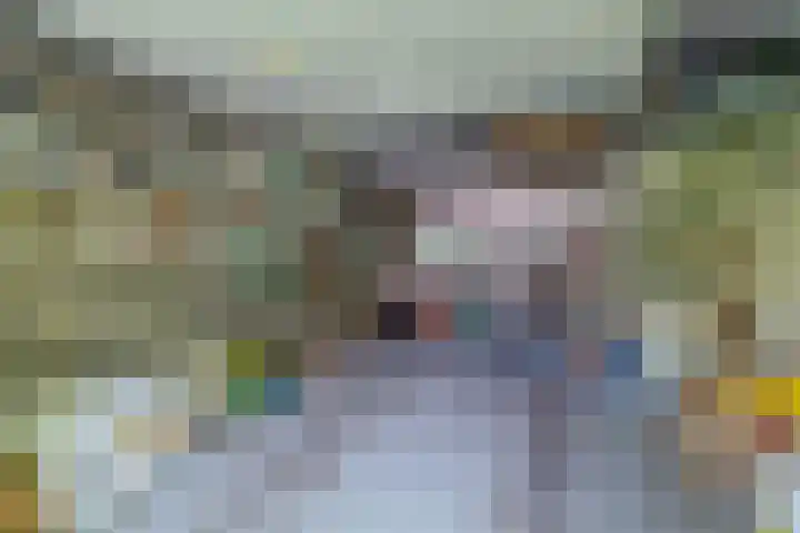 Kastanjelaan 33 Waalre thumbnail 37