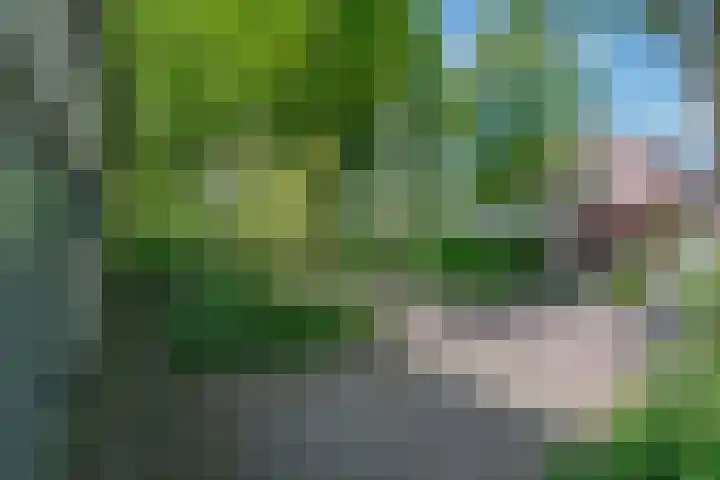 Kastanjelaan 33 Waalre thumbnail 38