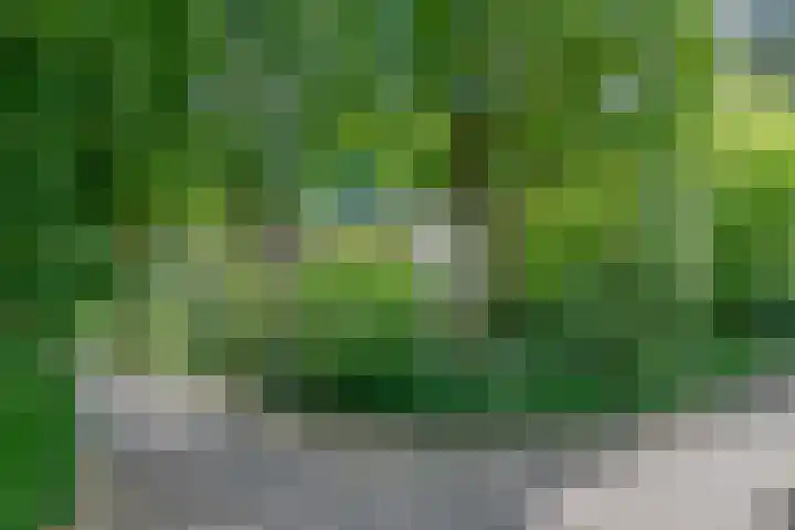 Kastanjelaan 33 Waalre thumbnail 39