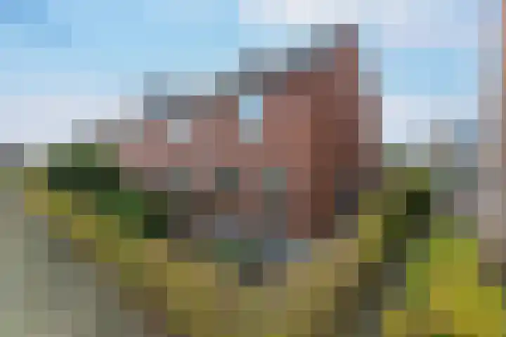 Kastanjelaan 33 Weesp thumbnail 40