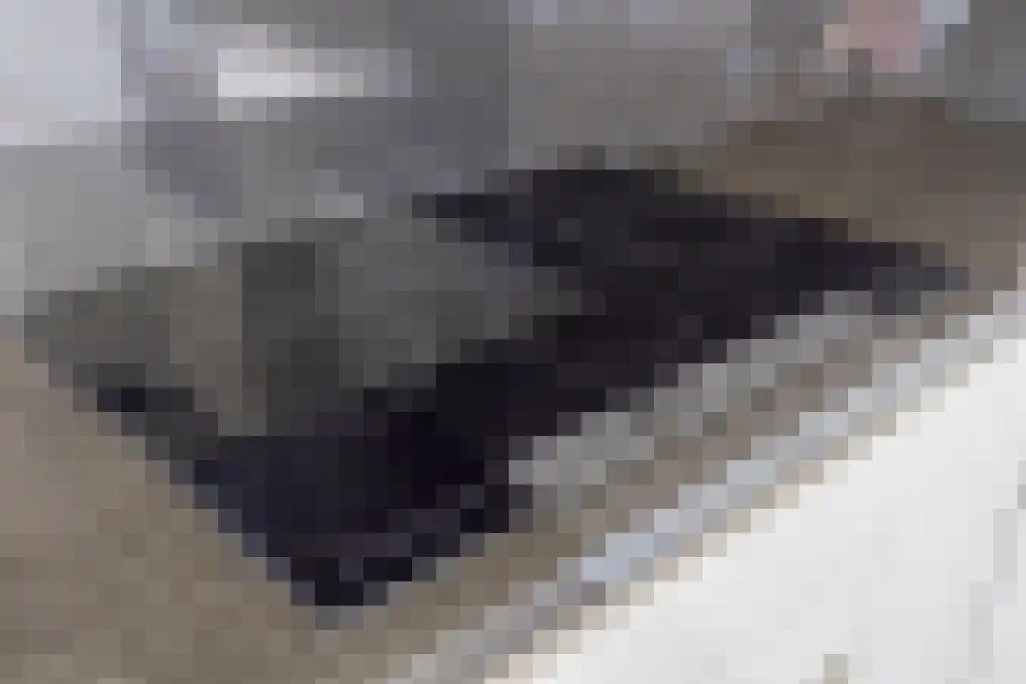 Kastanjelaan 331 Amstelveen thumbnail 7