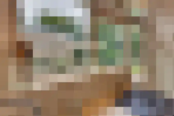 Kastanjelaan 34 Harderwijk thumbnail 14