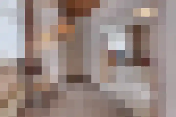 Kastanjelaan 34 Harderwijk thumbnail 15