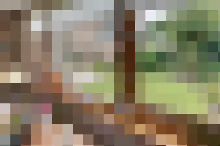 Kastanjelaan 34 Harderwijk thumbnail 24