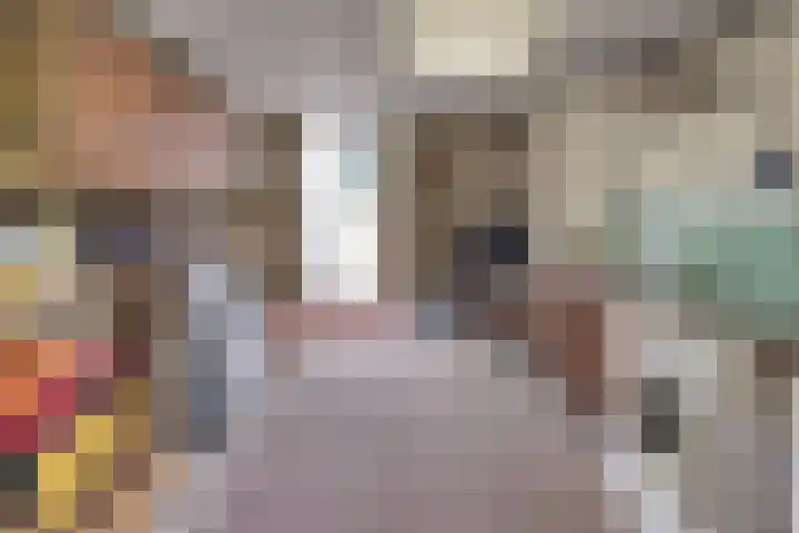 Kastanjelaan 34 Harderwijk thumbnail 28