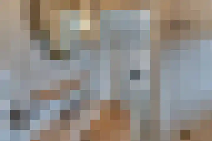 Kastanjelaan 34 Harderwijk thumbnail 33