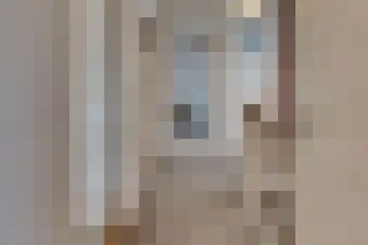 Kastanjelaan 34 Harderwijk thumbnail 34
