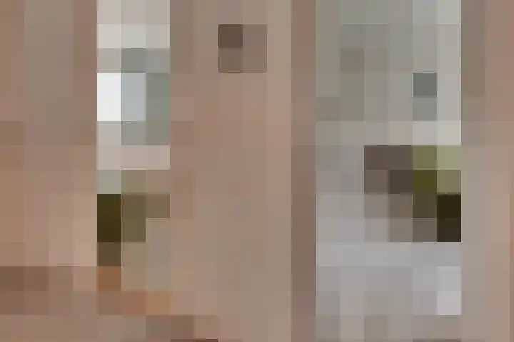 Kastanjelaan 34 Harderwijk thumbnail 36