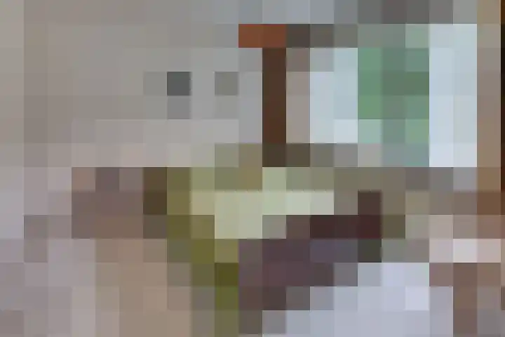 Kastanjelaan 34 Harderwijk thumbnail 38