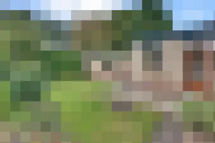 Kastanjelaan 34 Harderwijk thumbnail 39