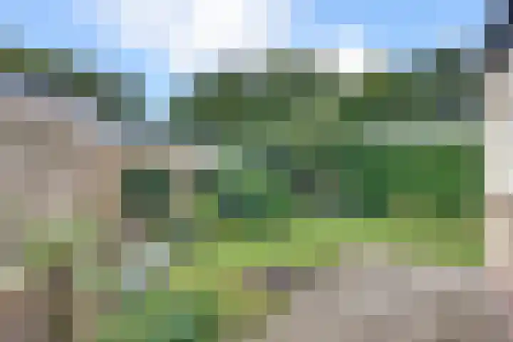 Kastanjelaan 34 Harderwijk thumbnail 40