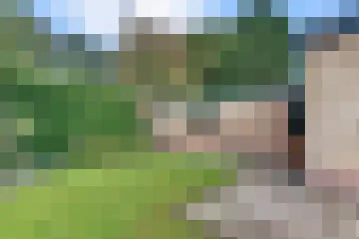 Kastanjelaan 34 Harderwijk thumbnail 41