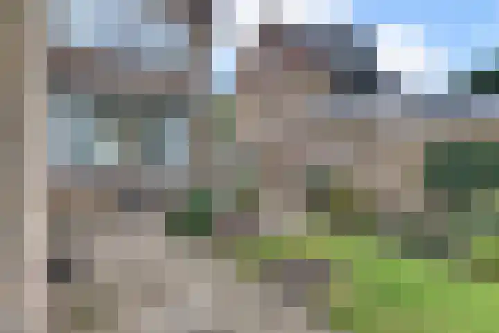 Kastanjelaan 34 Harderwijk thumbnail 44