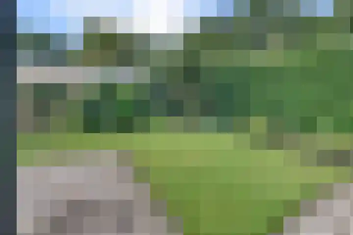 Kastanjelaan 34 Harderwijk thumbnail 45
