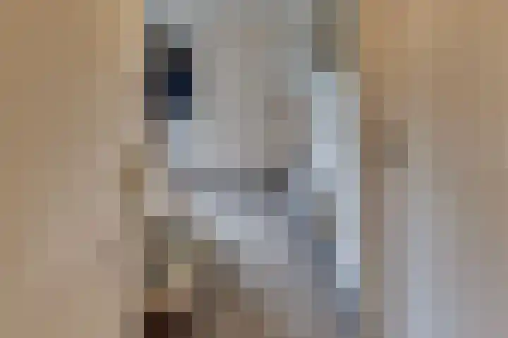 Kastanjelaan 34 Harderwijk thumbnail 7