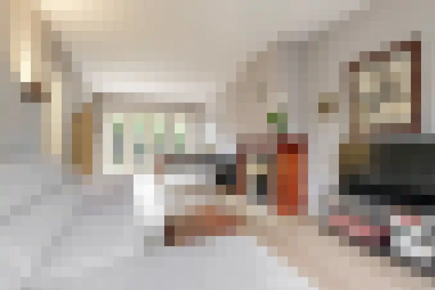 Kastanjelaan 34 Leiderdorp thumbnail 10