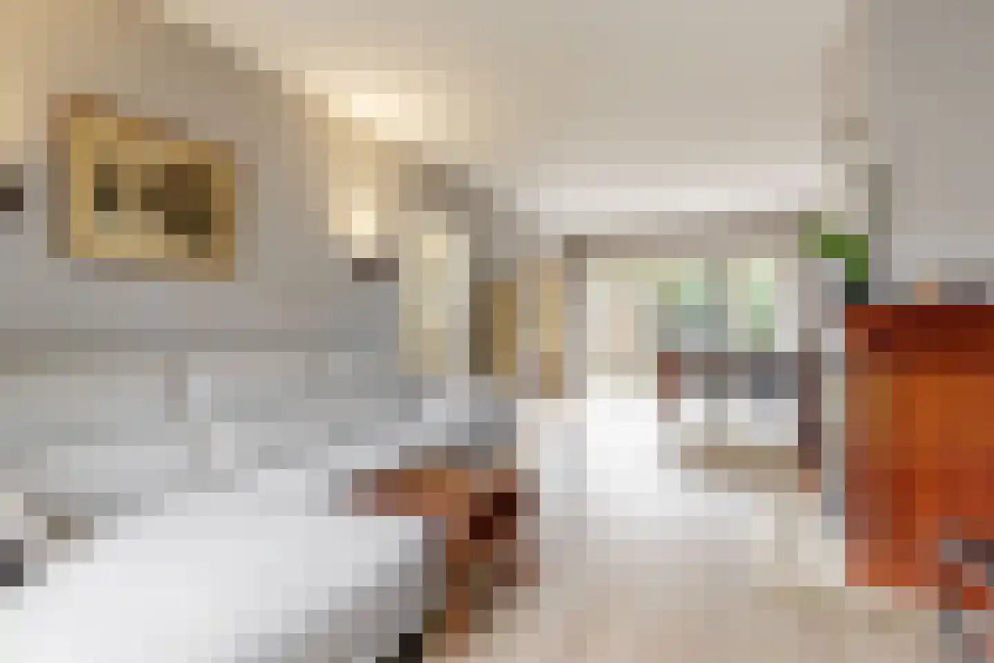Kastanjelaan 34 Leiderdorp thumbnail 12