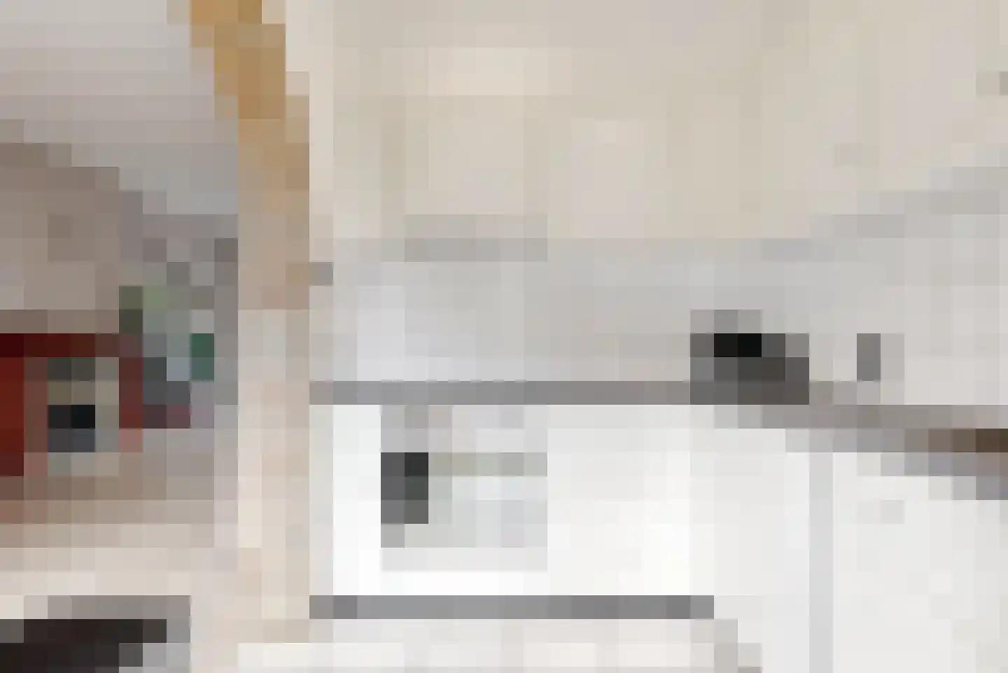Kastanjelaan 34 Leiderdorp thumbnail 18
