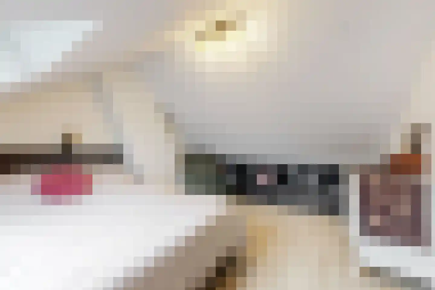Kastanjelaan 34 Leiderdorp thumbnail 33