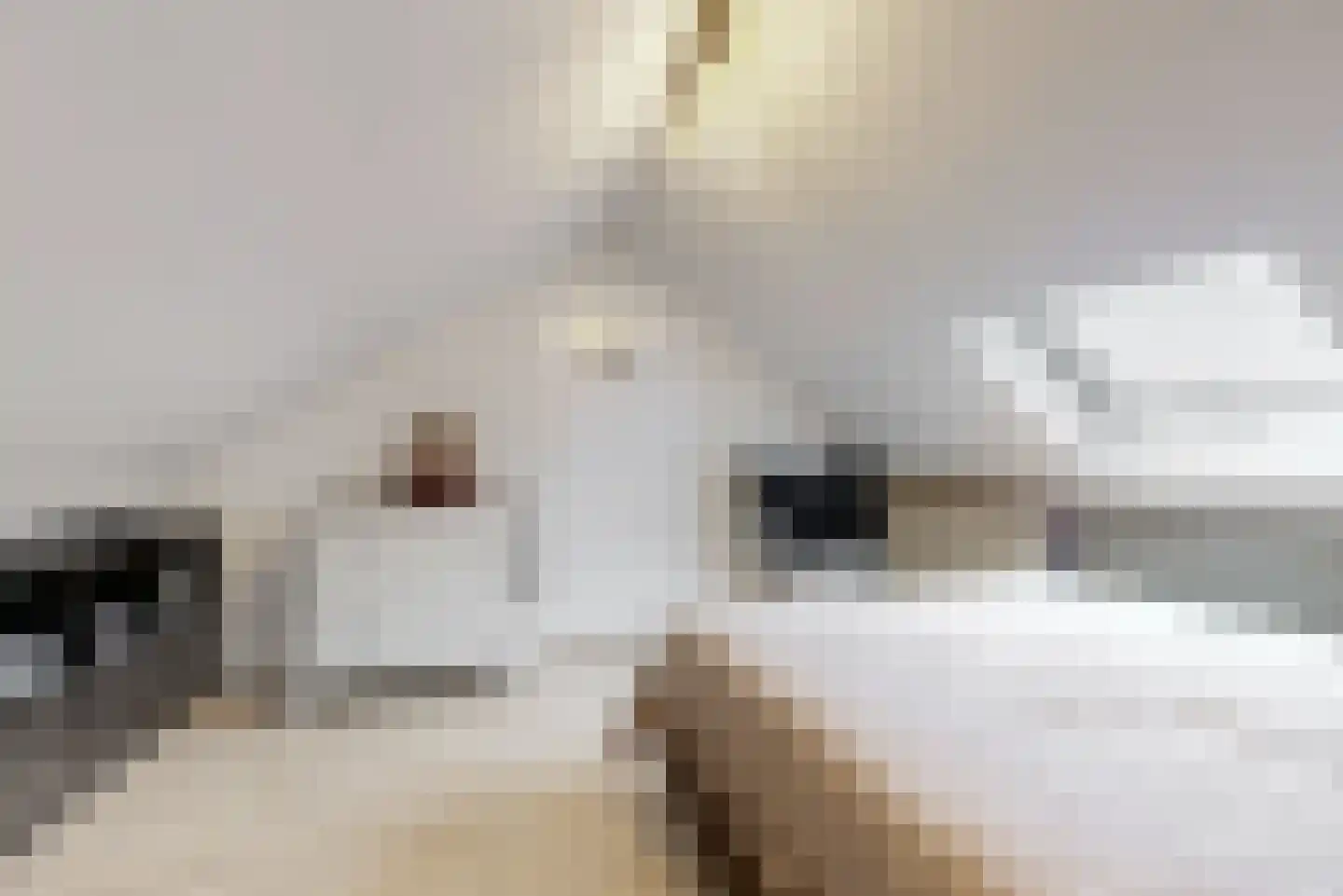 Kastanjelaan 34 Leiderdorp thumbnail 34