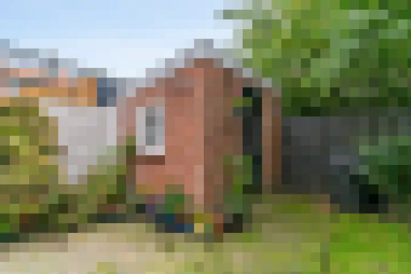 Kastanjelaan 34 Leiderdorp thumbnail 37