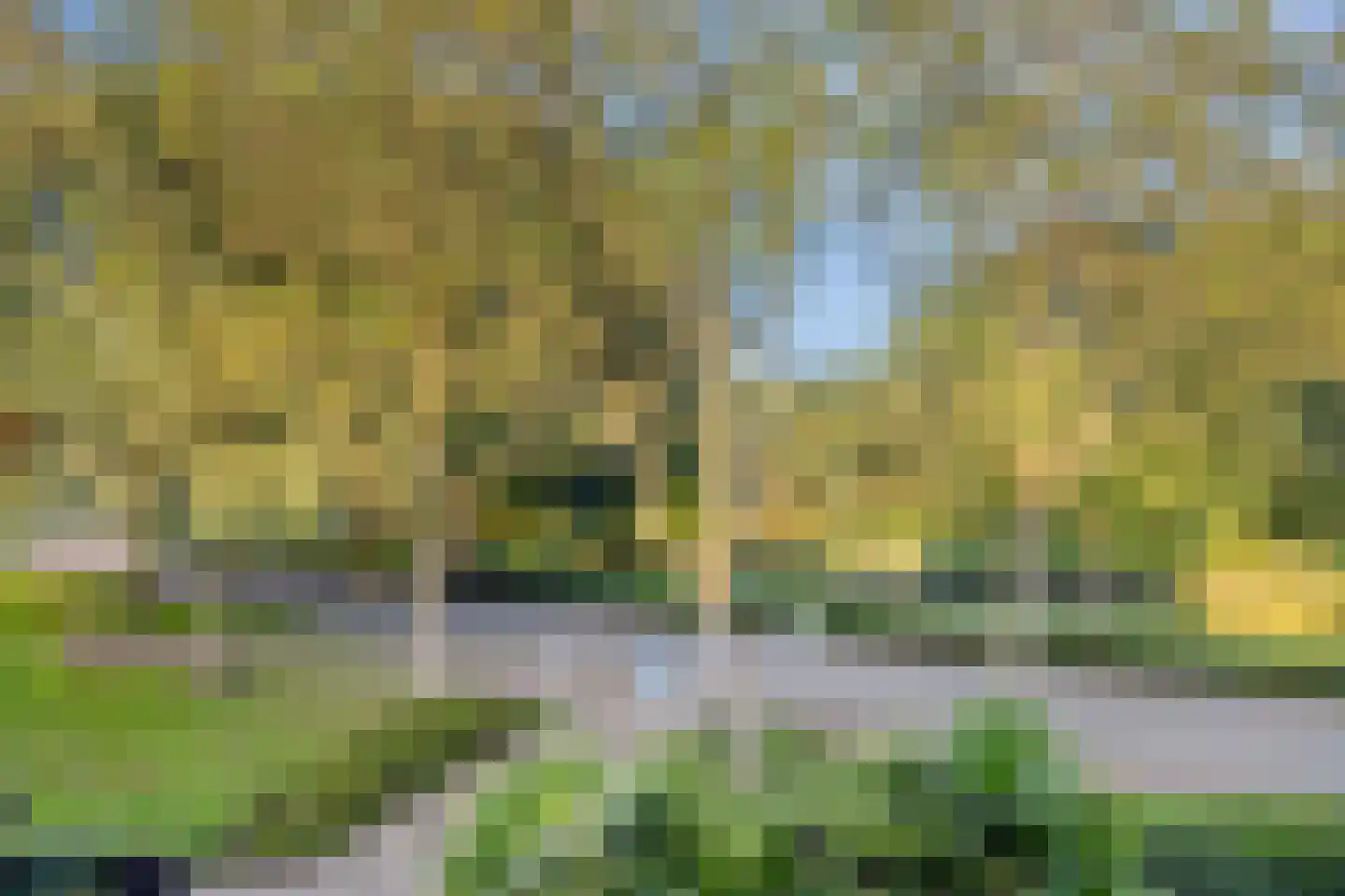 Kastanjelaan 34 Puttershoek thumbnail 33
