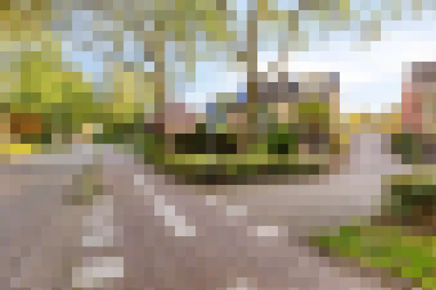 Kastanjelaan 34 Puttershoek thumbnail 43