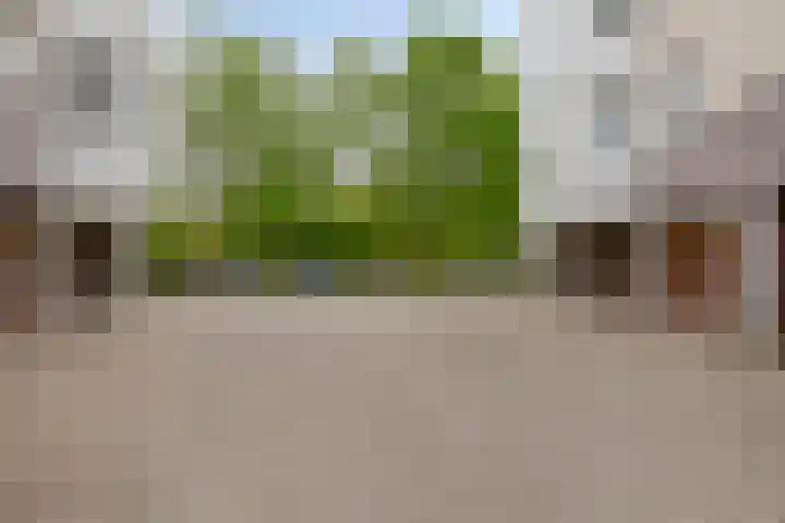 Kastanjelaan 349 Amstelveen thumbnail 17