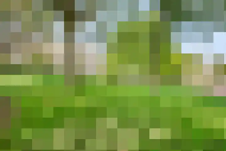 Kastanjelaan 349 Amstelveen thumbnail 18