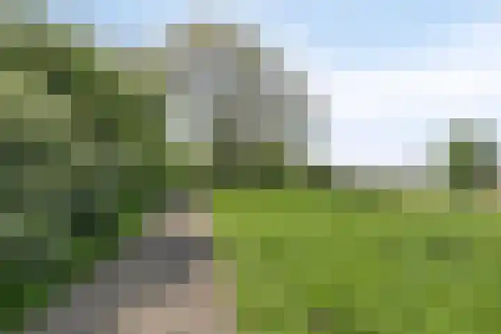 Kastanjelaan 349 Amstelveen thumbnail 20
