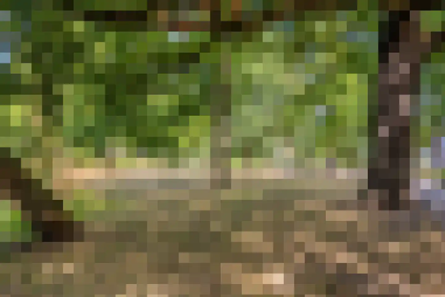 Kastanjelaan 35 1 Arnhem thumbnail 48