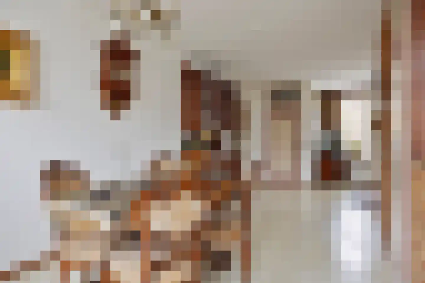 Kastanjelaan 36 Made thumbnail 11
