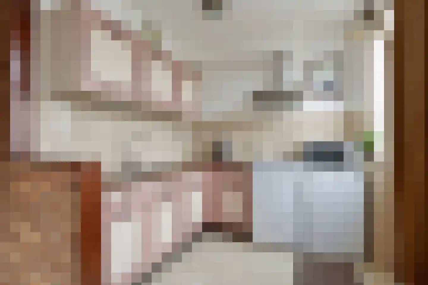 Kastanjelaan 36 Made thumbnail 14
