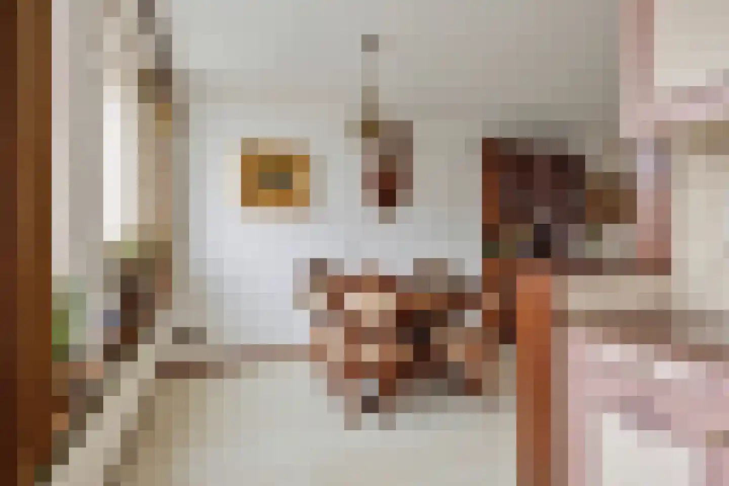 Kastanjelaan 36 Made thumbnail 17