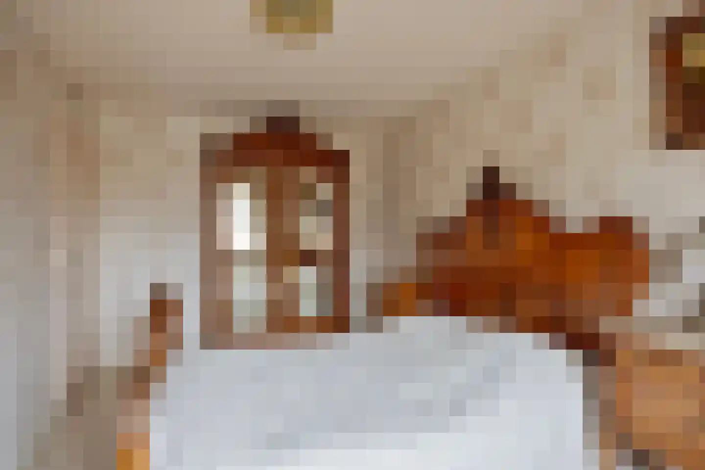 Kastanjelaan 36 Made thumbnail 25