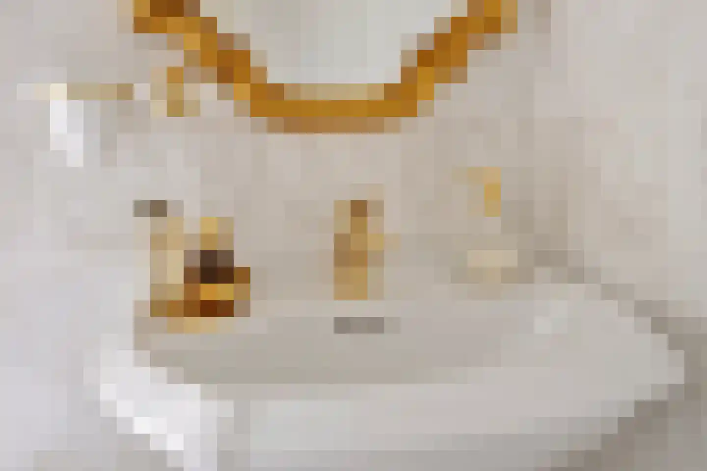 Kastanjelaan 36 Made thumbnail 29