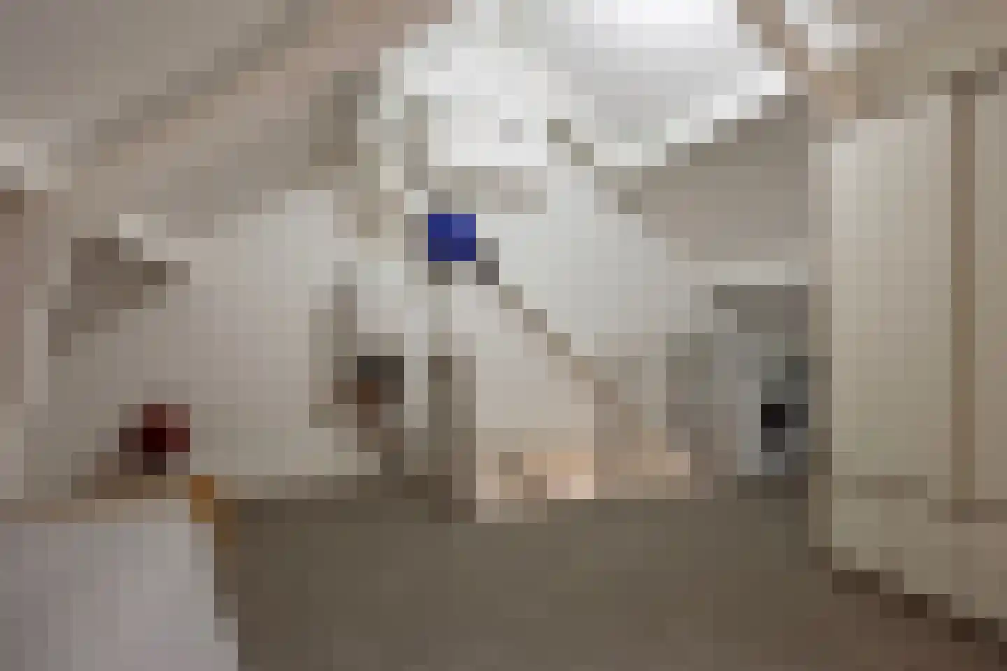 Kastanjelaan 36 Made thumbnail 36