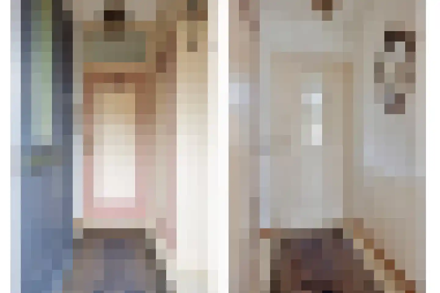 Kastanjelaan 36 Made thumbnail 53