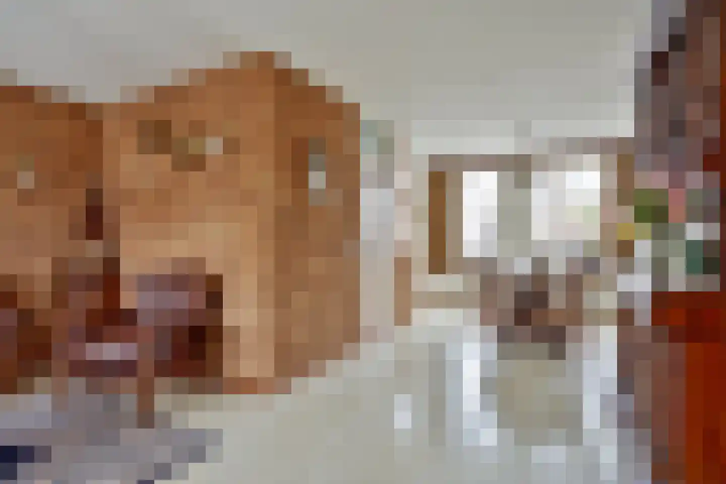 Kastanjelaan 36 Made thumbnail 9