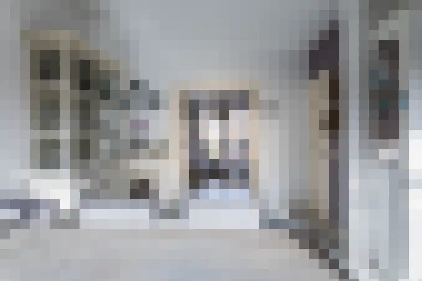 Kastanjelaan 36 Rijswijk thumbnail 11