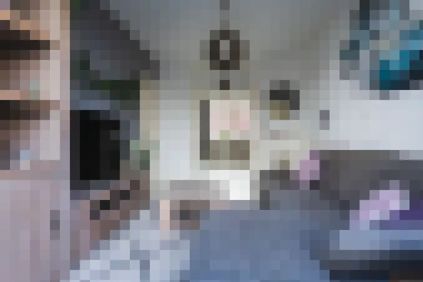Kastanjelaan 36 Rijswijk thumbnail 14