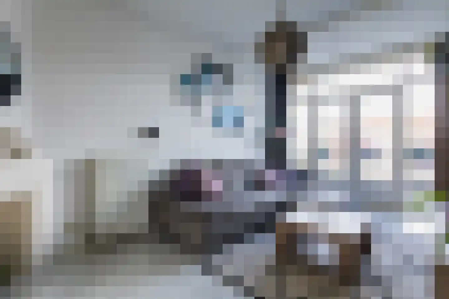 Kastanjelaan 36 Rijswijk thumbnail 15