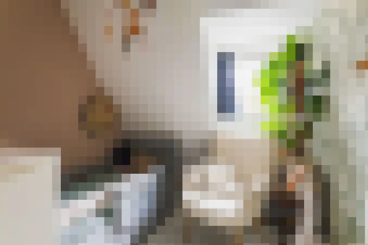 Kastanjelaan 36 Rijswijk thumbnail 33