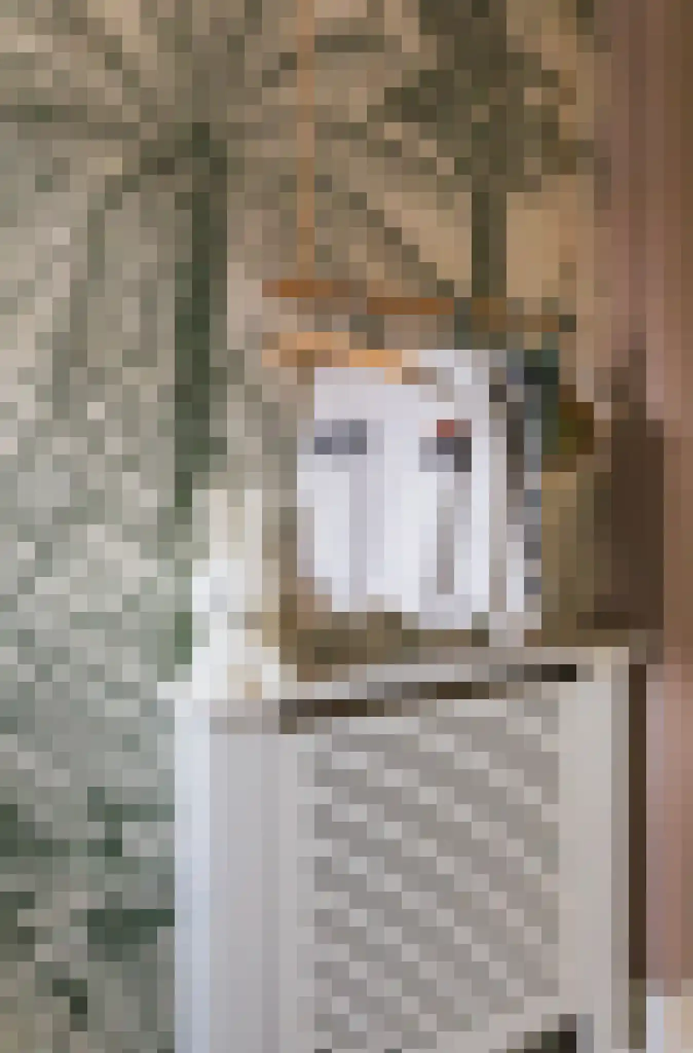 Kastanjelaan 36 Rijswijk thumbnail 36