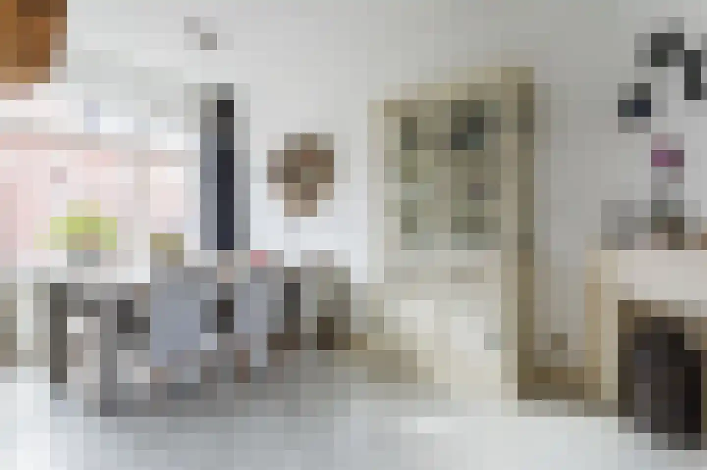 Kastanjelaan 36 Rijswijk thumbnail 5