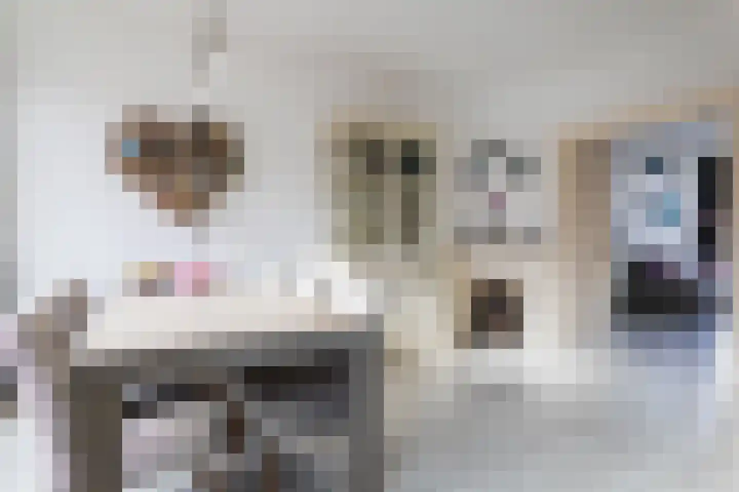 Kastanjelaan 36 Rijswijk thumbnail 6