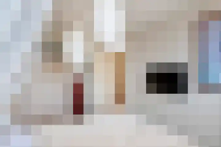 Kastanjelaan 37 Meteren thumbnail 21